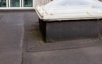 disadvantages of Wester Parkgate flat roofs