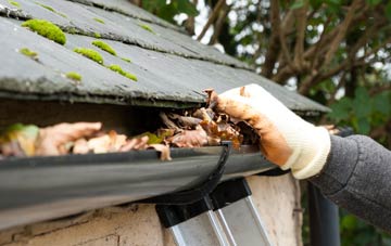 gutter cleaning Wester Parkgate, Dumfries And Galloway