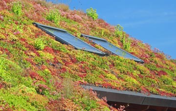 Wester Parkgate living roof systems