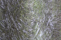 Wester Parkgate fibreglass roof work